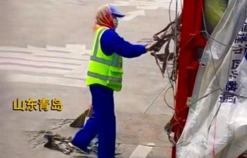 保潔大媽高速偷海帶后續，司機無奈 抓到也沒法負責