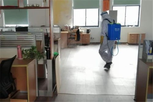 北京大興食品廠蟲控消毒、除臭蟲服務與保潔服務收費標準解析